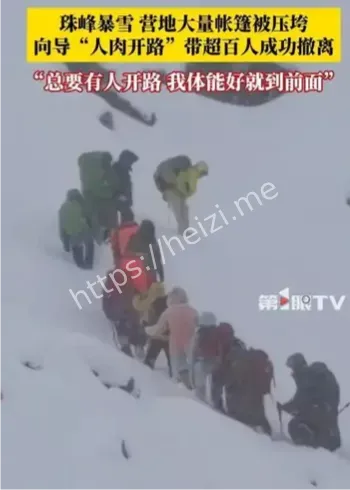 珠峰暴雪向导一人一狗开路