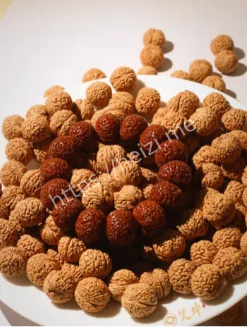 桃核氰化物舞台